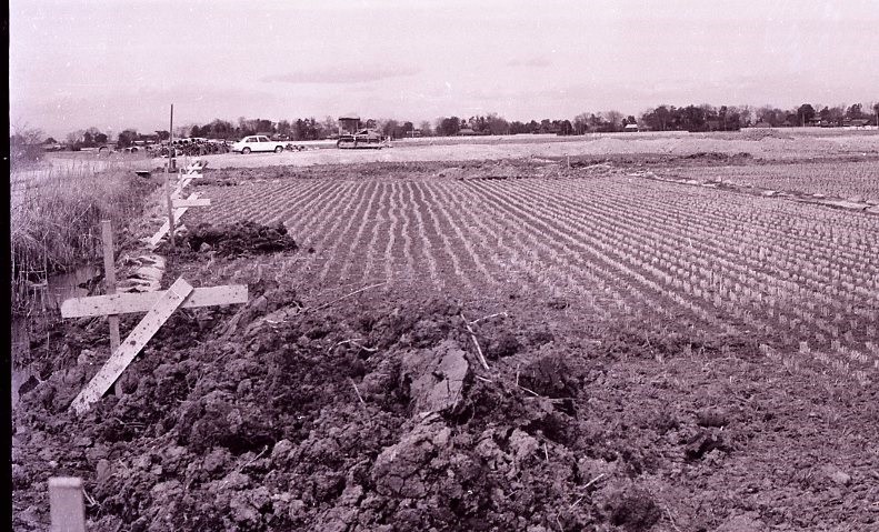 1973　総合運動場建設現場031.jpg